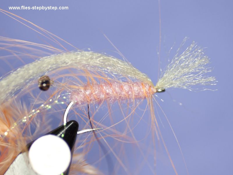 Shrimp fly pattern How to tie fly, Fly tying Step by Step Patterns